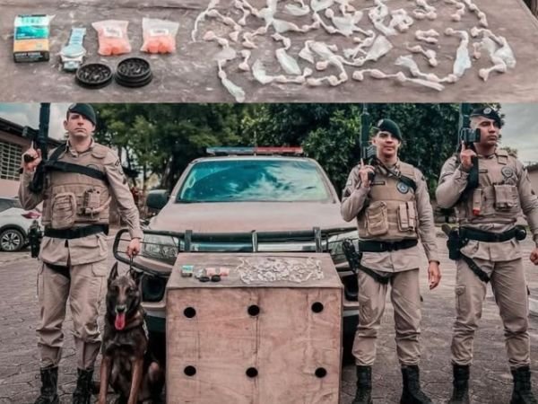 25272_capa-2025-08-01t133719-527